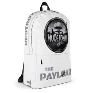 THE PAYLOAD – THERMAL FLASH